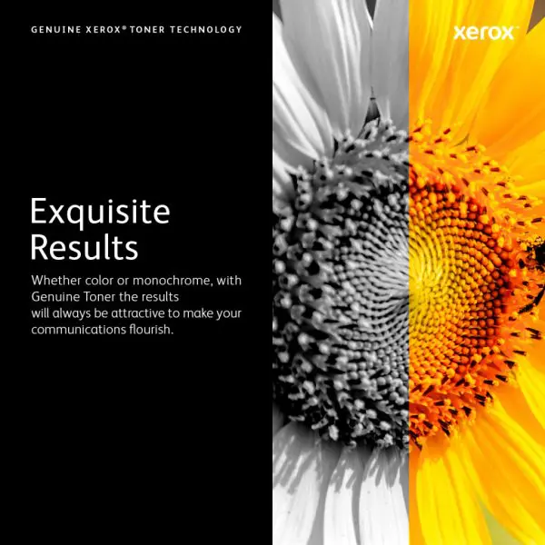 Xerox Genuine Phaser® 3330, WorkCentre® 3300 Series Black High capacity Toner Cartridge (8500 Pages) - 106R03622 - Image 9