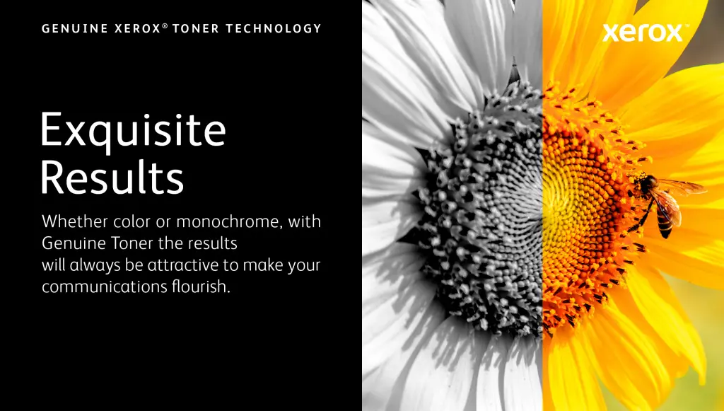 Xerox Genuine ® VersaLink® C620 Color Printer Magenta High capacity Toner Cartridge (12000 Pages) - 006R04626 - Image 8