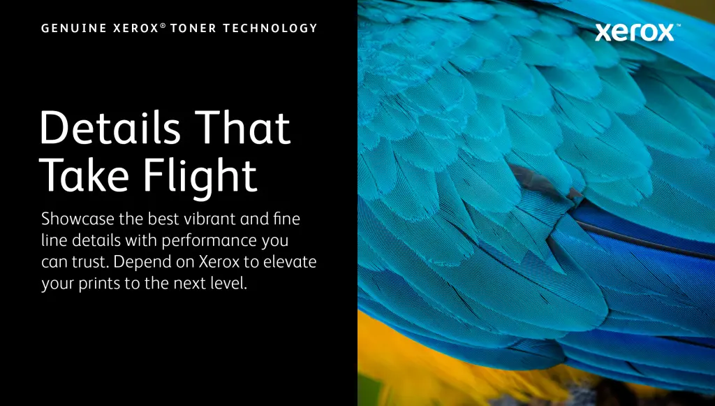 Xerox Genuine ® VersaLink® C7000 Color Printer Black High capacity Toner Cartridge (10700 Pages) - 106R03757 - Image 3