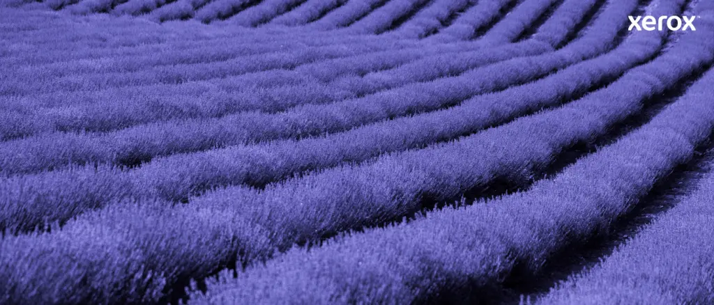 Xerox Genuine ® VersaLink® B400 Printer/B405 Multifunction Printer Black Extra High capacity Toner Cartridge (2 - Image 14