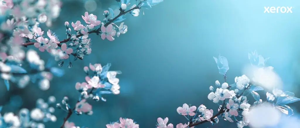 Xerox Genuine ® VersaLink® C400 Color Printer/C405 Color Multifunction Printer Black Standard capacity Toner Ca - Image 12