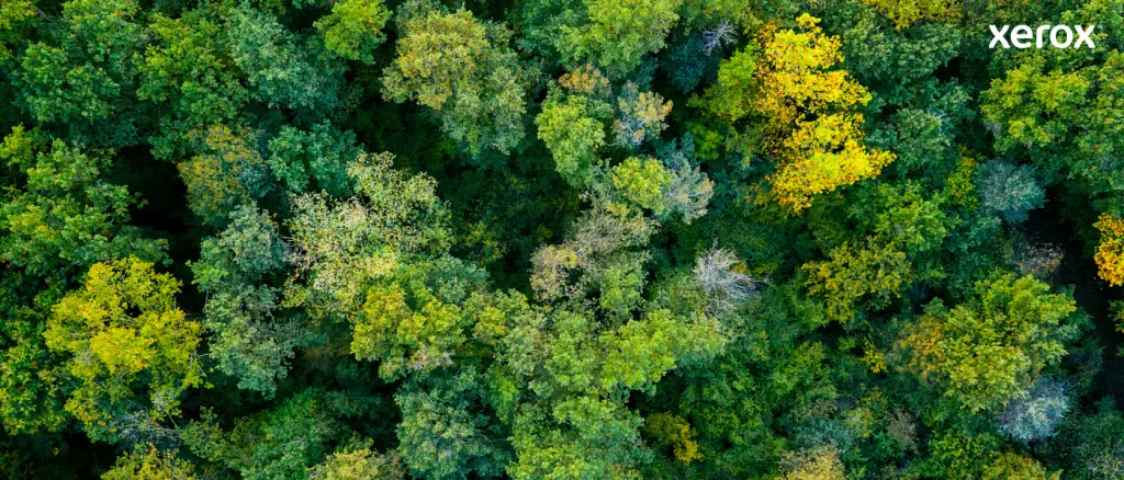 Xerox Genuine ® VersaLink® B400 Printer/B405 Multifunction Printer Black Standard capacity Toner Cartridge (590 - Image 13