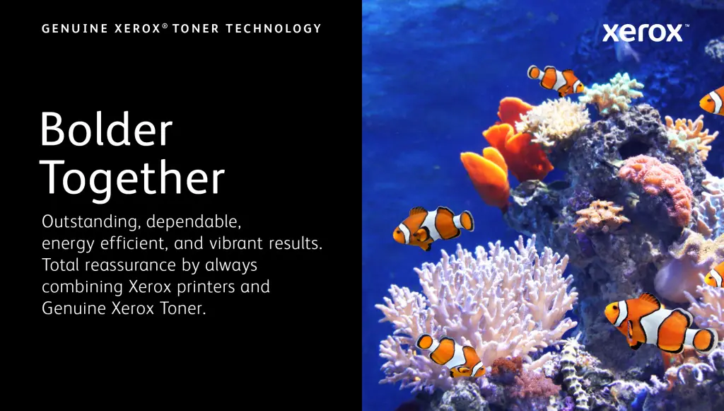 Xerox Genuine ® B305 Multifunction Printer/B310 Printer/B315 Multifunction Printer Black High capacity Toner C - Image 2