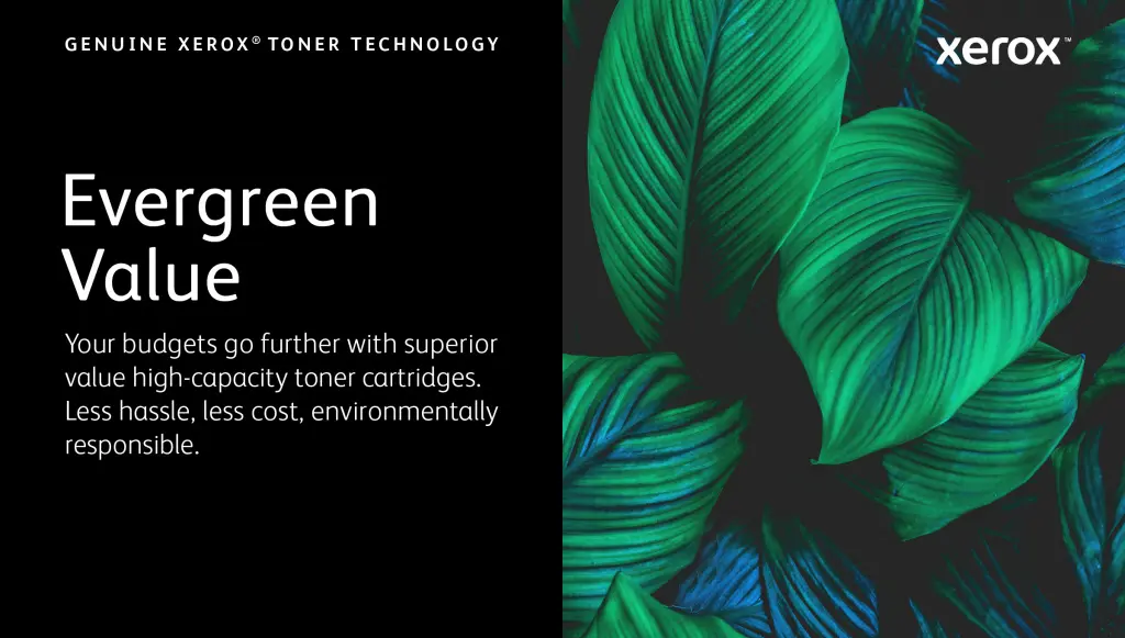 Xerox Genuine ® B305 Multifunction Printer/B310 Printer/B315 Multifunction Printer Black High capacity Toner C - Image 7